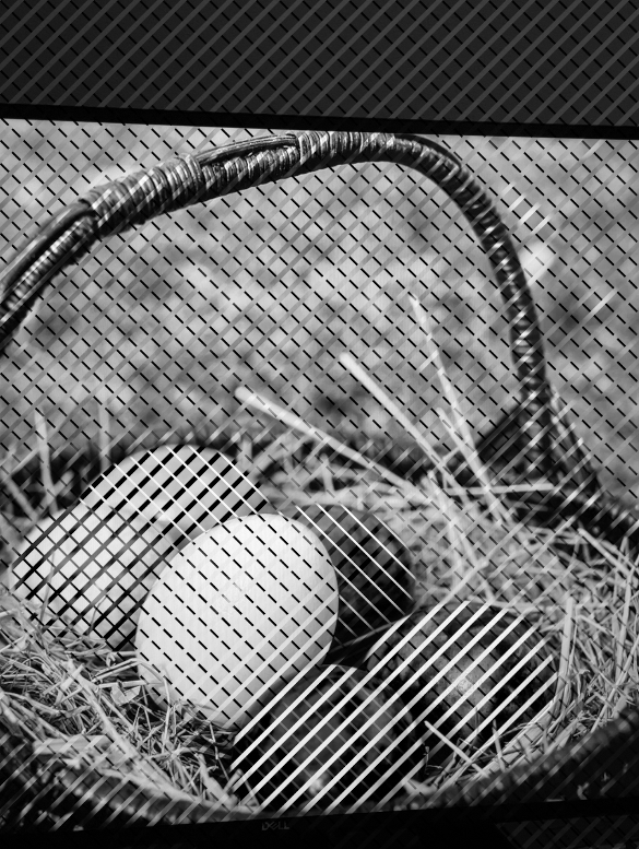 a basket of easter eggs in monochrome