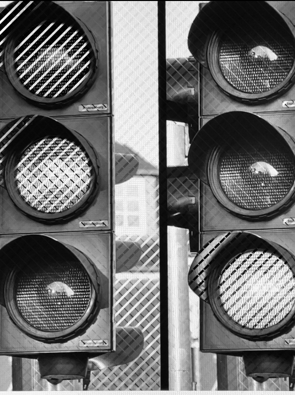 traffic lights with different lights on in monochrome